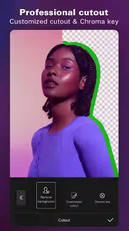 CapCut Professional Cutout and Chroma Key
